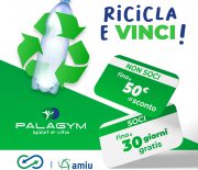 plastipremia